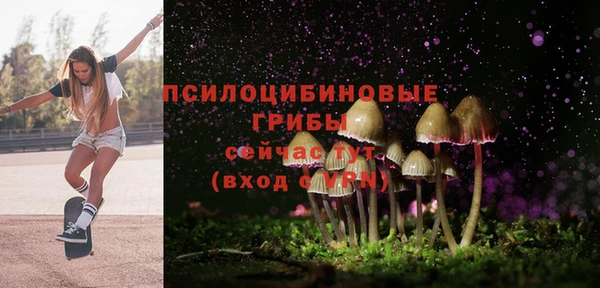 ГАЛЛЮЦИНОГЕННЫЕ ГРИБЫ Михайловск