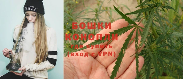 ПСИЛОЦИБИНОВЫЕ ГРИБЫ Аша