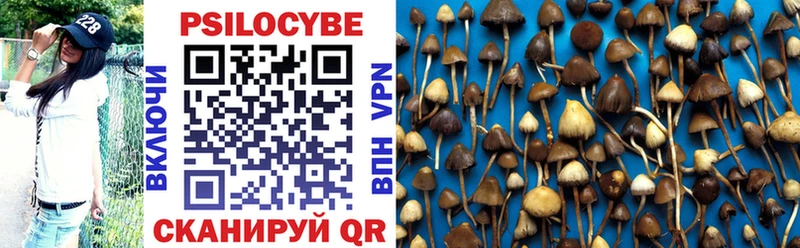 гидра ТОР  Урюпинск  Галлюциногенные грибы MAGIC MUSHROOMS  сколько стоит 
