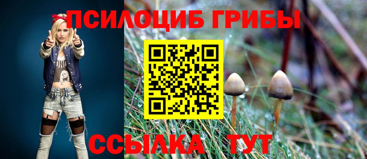 Галлюциногенные грибы Psilocybine cubensis  Вход с VPN  Галлюциногенные грибы мухоморы  Урюпинск 